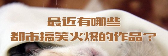 最近有哪些都市搞笑火爆的作品？